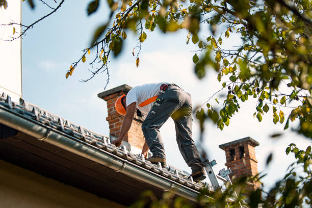 Best Flat Roofing  in Mayville, WI