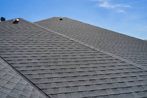 Best Skylight Installation and Repair  in Mayville, WI